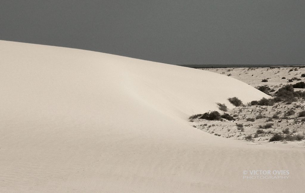 DUNAS DE CORRALEJO